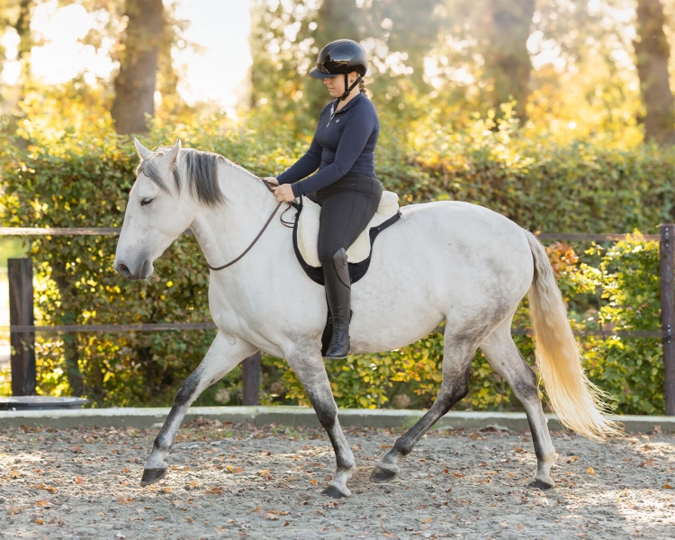 Pad do jazdy na oklep QHP Bareback czarno-kremowy