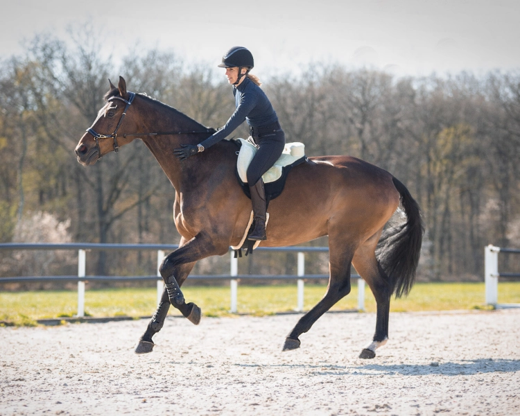 Pad do jazdy na oklep QHP Bareback czarno-kremowy