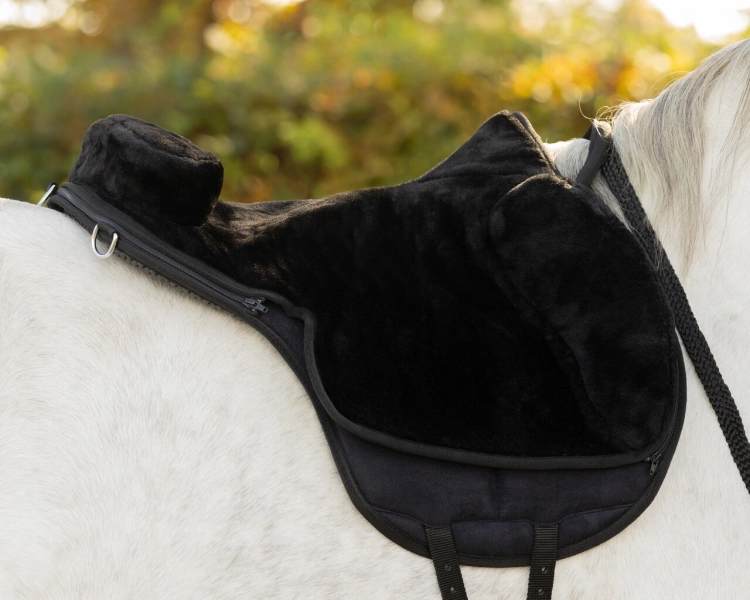 Pad do jazdy na oklep QHP Bareback w kolorze czarnym na koniu