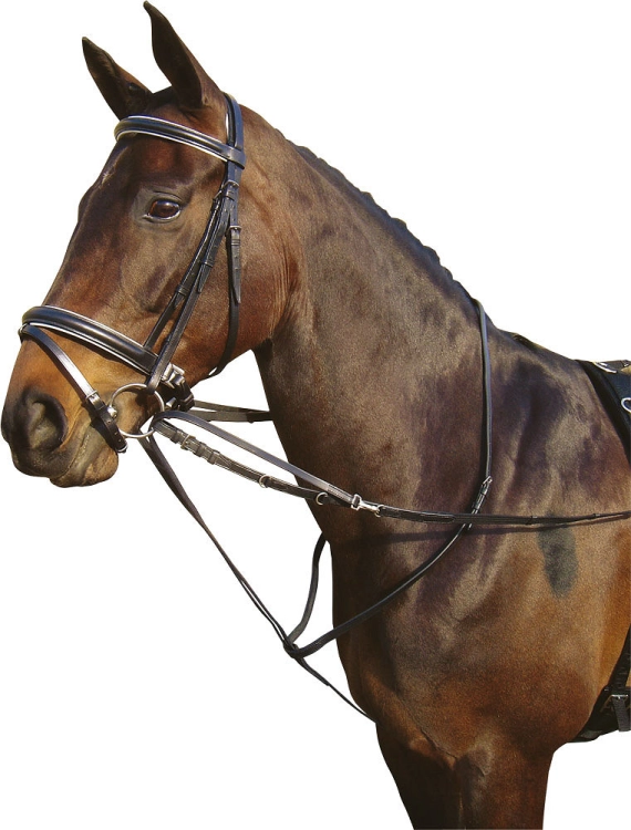 Wodze Thiedmann Harry's Horse w kolorze czarnym