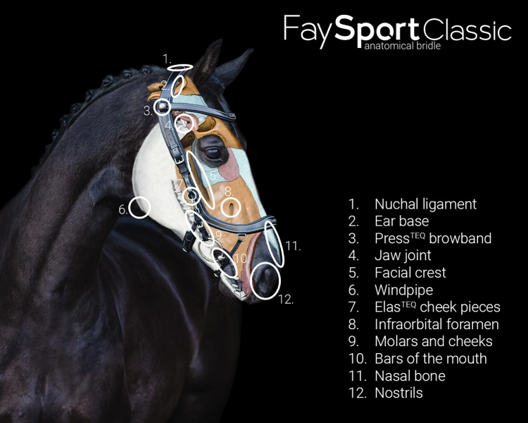 Ogłowie anatomiczne Presteq FaySport Classic w kolorze czarnym