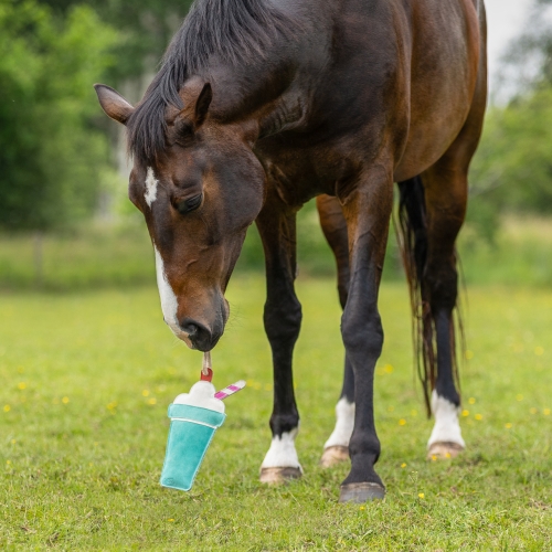 Zabawka dla konia QHP Snack Milkshake