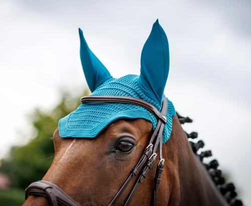 Nauszniki dla konia Schockemöhle Classic w kolorze colonial blue na koniu