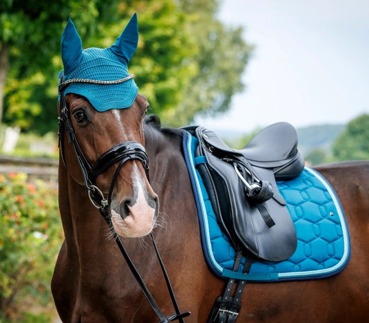 Nauszniki i czaprak dla konia Schockemöhle Classic w kolorze colonial blue