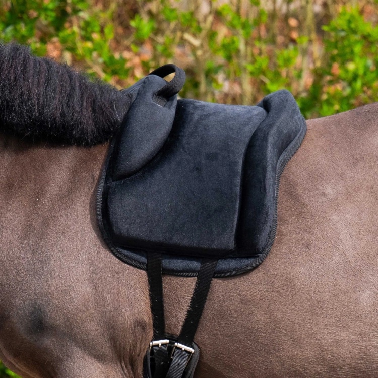 Pad do jazdy na oklep Harry's Horse Ultimate w kolorze czarnym