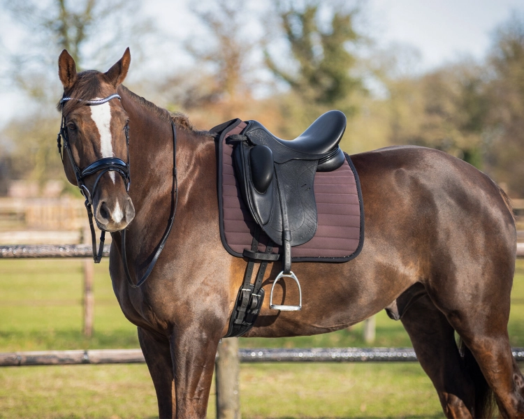 Czaprak dla konia QHP Victorio w kolorze brown