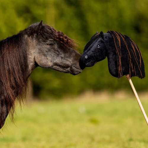 Konik Hobby Horse QHP Nalanta wzorowany na koniu o imieniu Macho