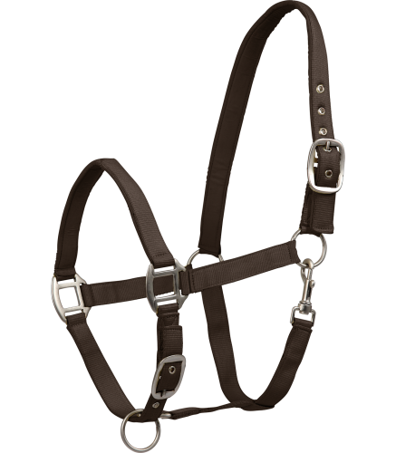 Kantar dla konia Waldhausen Satin w kolorze espresso