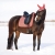 Świąteczny komplet dla konia QHP Christmas Jolly stripe