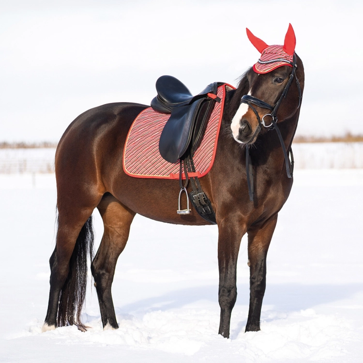 Świąteczny komplet dla konia QHP Christmas Jolly stripe