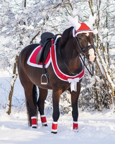 Świąteczny zestaw dla konia: czaprak, nauszniki, uprząż i owijki QHP Christmas Red