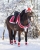 Świąteczny zestaw dla konia: czaprak, nauszniki, uprząż i owijki QHP Christmas Red