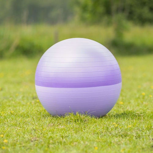 Zabawka dla konia QHP Two-Tone Purple