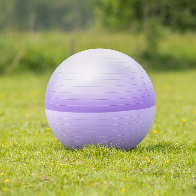 Zabawka dla konia QHP Two-Tone Purple