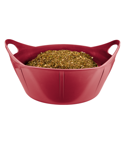 Elastyczna miska dla konia Waldhausen Flexibowl 10L w kolorze cherry red
