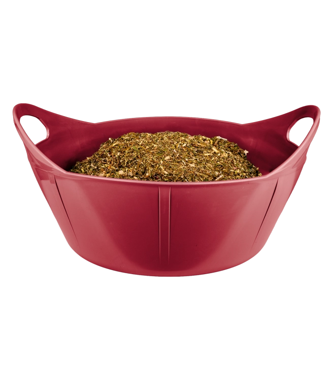 Elastyczna miska dla konia Waldhausen Flexibowl 10L w kolorze cherry red