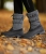 Buty stajenne ocieplane ELT Calgary w kolorze szarym