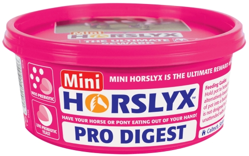 HORSLYX Lizawka PRO DIGEST 650g jabłkowa
