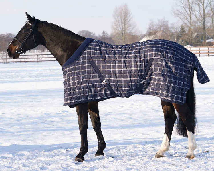 Derka stajenna 1200D/300g QHP w kolorze granatowym