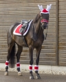 Czaprak, nauszniki i owijki świąteczne dla konia QHP Christmas Renifer