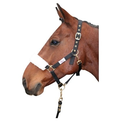 Futerko syntetyczne na nachrapnik lub potylicę Harry's Horse - przykład użycia