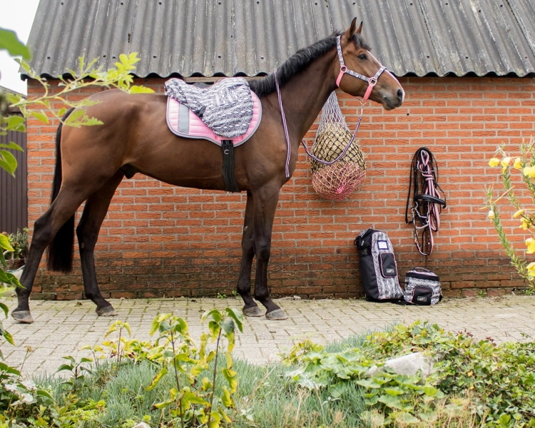 Akcesoria dla konia z kolekcji QHP w kolorze flamingo pink