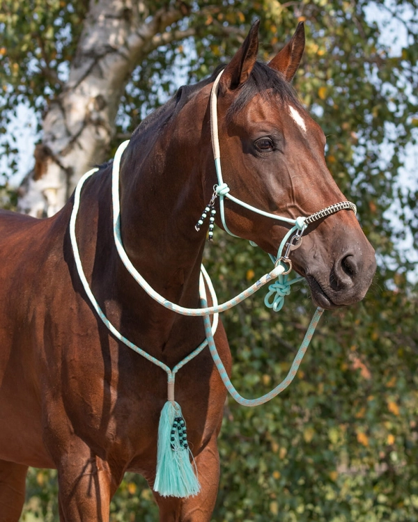Zestaw kantar z wodzami i cordeo QHP w kolorze seledynowym na koniu