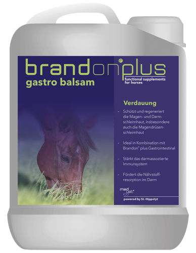 BRANDON + Gastro Balsam – balsam na wrzody 2,5l