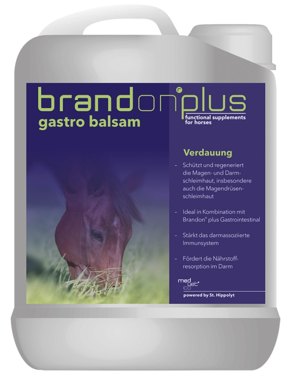 BRANDON + Gastro Balsam – balsam na wrzody 2,5l