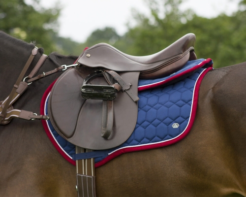Czaprak  QHP Eldorado w kolorze granatowo-czerwonym na koniu