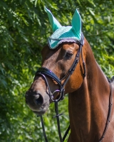 QHP nauszniki COLOR ice green