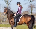 Pad do jazdy na oklep QHP  podczas jazdy konnej
