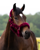 QHP kantar ALASKA burgundy/black