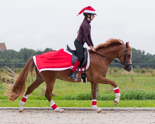 Świąteczne akcesoria dla konia i jeźdźca QHP Christmas w kolorze czerwonym