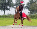 Świąteczne owijki dla konia QHP Christmas