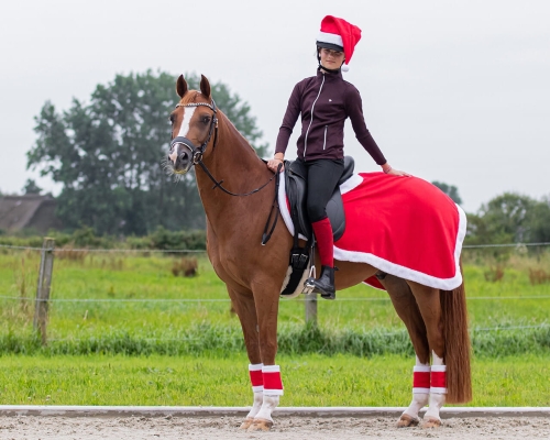 Półderka dla konia świąteczna QHP Christmas w kolorze czerwonym