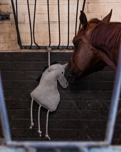 Zabawka dla konia QHP Horse powieszona w boksie