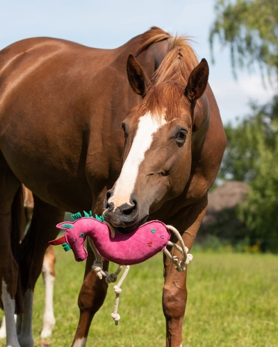 Zabawka dla konia QHP Unicorn  - koń podczas zabawy