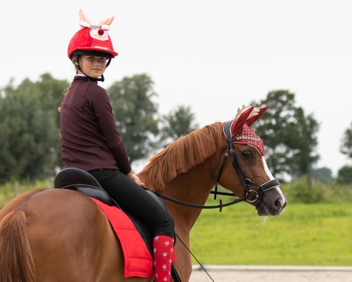 Świąteczne akcesoria dla konia i jeźdźca QHP Christmas Rudolf
