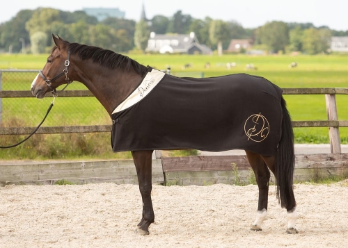 Derka polarowa Harry's Horse Denici w kolorze czarnym