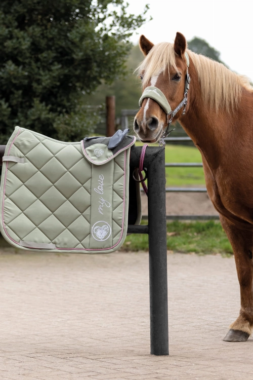 Czaprak, nauszniki i kantar z linii HKM Horse Spirit w kolorze zielonym