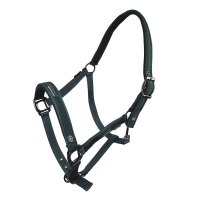 HORSENJOY  kantar CASSIA zielony 