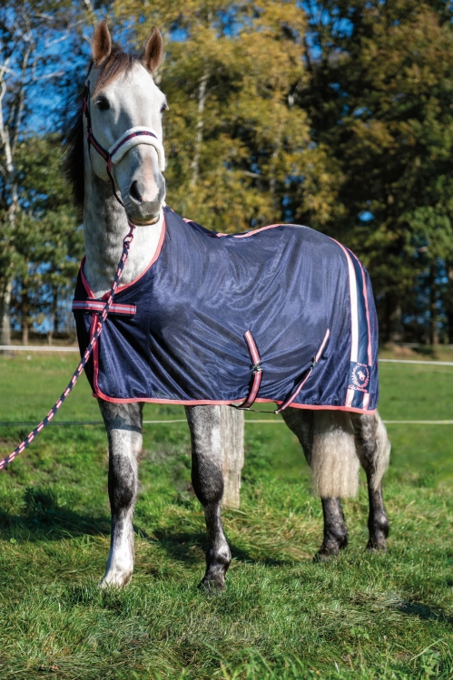 Akcesoria z kolekcji HKM Classic Polo w kolorze granatowo - różowym na koniu