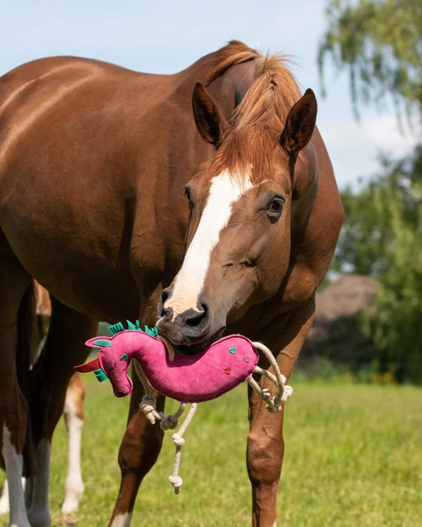 Zabawka dla konia QHP Horse - koń podczas zabawy