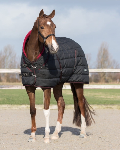 Derka stajenna 200g QHP Luxury w kolorze czarnym