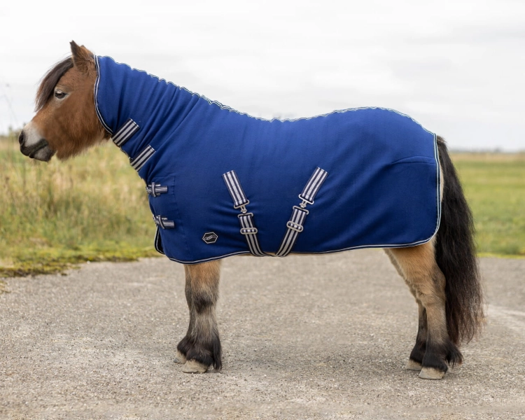 Derka polarowa z kapturem dla kucy QHP Shetland w kolorze niebieskim
