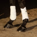 HARRY'S HORSE Ochraniacze AIR MESH Białe