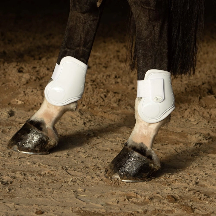 Ochraniacze dla konia na tylne nogi Harry's Horse Next w kolorze białym na koniu