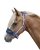 Kolorowy kantar dla konia HKM Funny Horses w paski na koniu