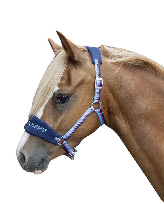 Kolorowy kantar dla konia HKM Funny Horses w paski na koniu